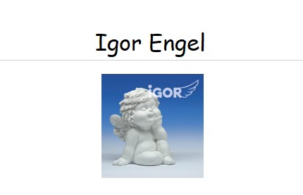 IGOR Engel