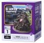 Preview: Ausgrabungsset Steine Giants Causeway, Edelsteine ausgraben, 8 Steine, Werkzeug