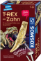 Preview: Ausgrabung-Set - T-rex - Zahn