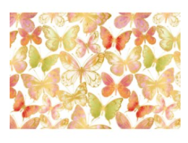 Wandelbar Doppelkarte quer 16,2 x 11,5 cm - Schmetterlinge