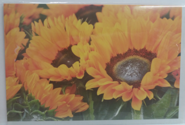 Sonnenblumen - Doppelkarte A6 mit Couvert