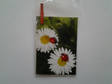 Blumen mit Käfer - mini Doppelkarte - 5.5cm x 7.5cm