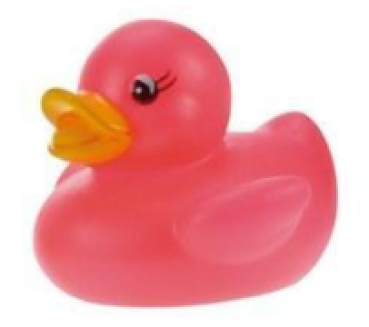 Bade Ente Racing Ducks - 6cm - pink