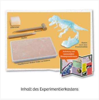 Ausgrabungs-Set - Nachtleuchtender T-REX