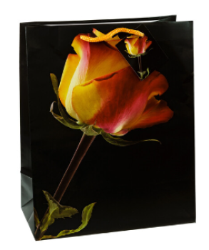 Geschenktüten Rosen 22,7 x 18 x 10 cm mittel