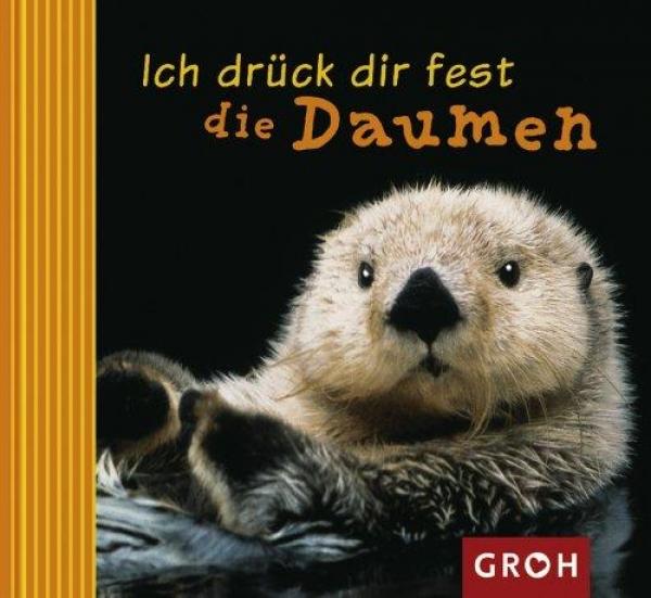 Geschenkbuch 12 x 11 cm - Ich drück dir fest die Daumen: Ein lächeln schenken