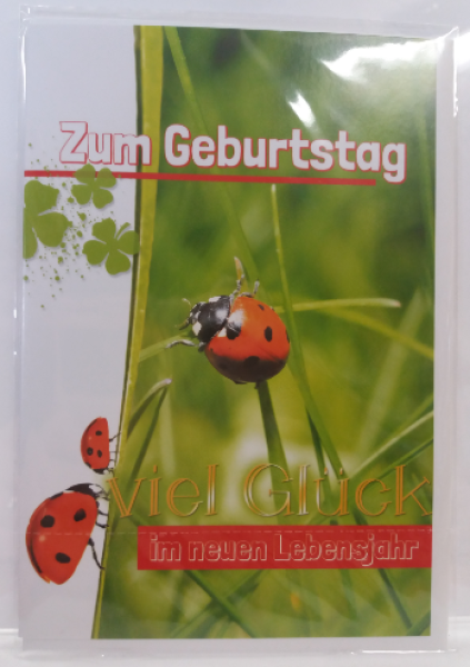 Zum Geburtstag viel Glück im neuen Lebensjahr - Doppelkarte A6 mit Couvert