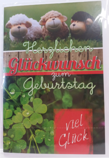 Herzlichen Glückwunsch zum Geburtstag - viel Glück - Doppelkarte A6 mit Couvert