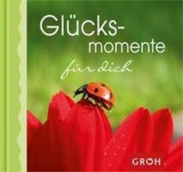 Geschenkbuch 12 x 11 cm - Glücksmomente für dich: Kleine Momente