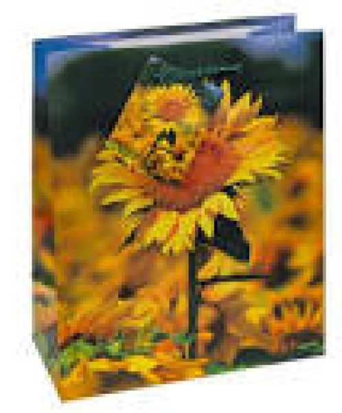 Geschenktüten Sommer 32 x 26 x 13,5 cm gross