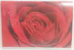 Rosen rot - Doppelkarte A6 mit Couvert